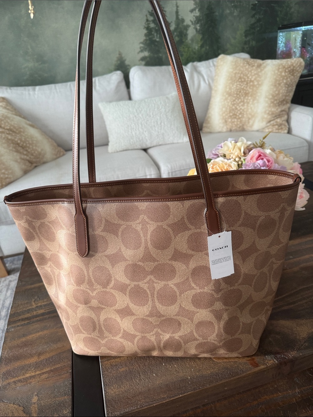 Coach Canvas Signature Large City Tote in Tan and Brown - Picture 2 of 5